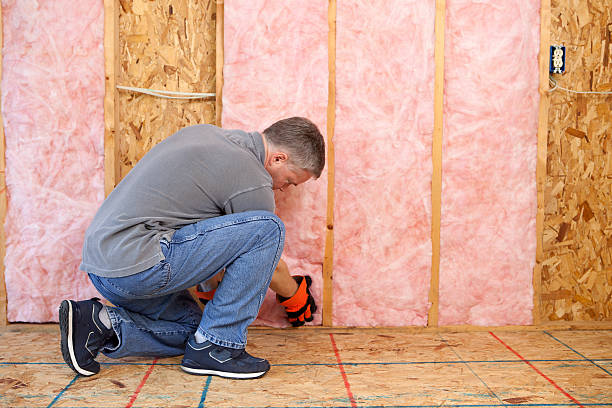 Best Affordable Insulation Services  in Nowthen, MN