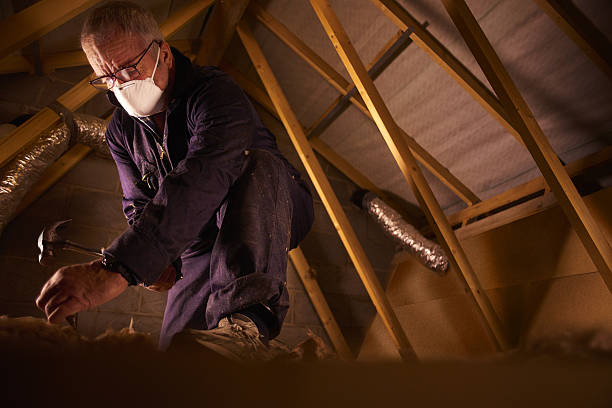 Insulation Repair Services in Nowthen, MN
